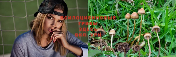 ALPHA-PVP Абинск