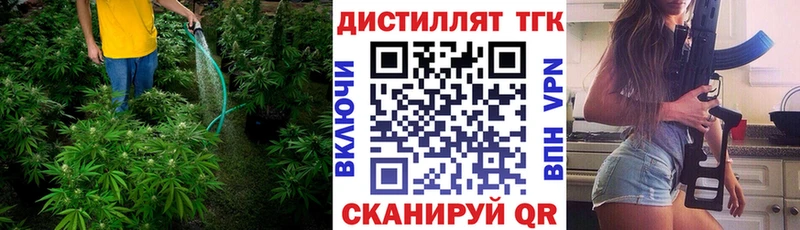 ТГК гашишное масло  где купить наркоту  Пошехонье 