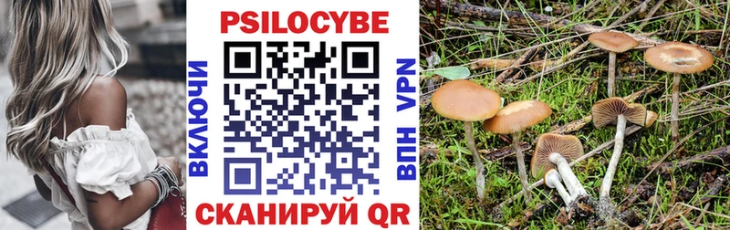 Галлюциногенные грибы Psilocybine cubensis  Пошехонье 